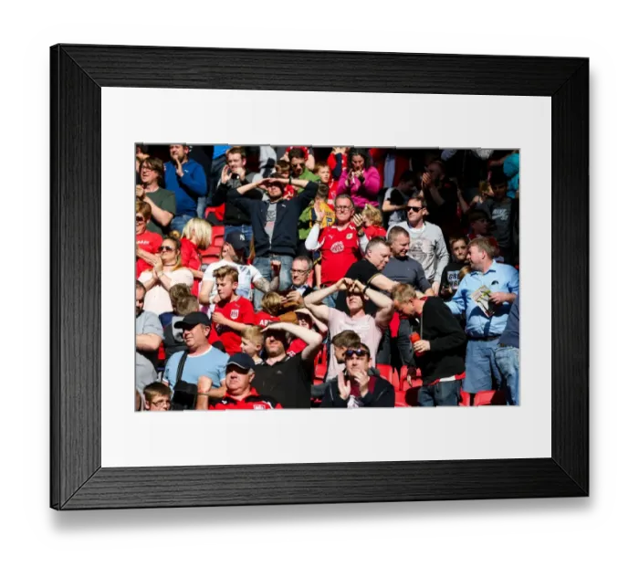 Framed Print : Bristol City Promoted: Euphoric Moment as Championship Title is Secured at Ashton Gate Stadium vs Barnsley Framed Print : Bristol City Promoted: Euphoric Moment as Championship Title is Secured at Ashton Gate Stadium vs Barnsley