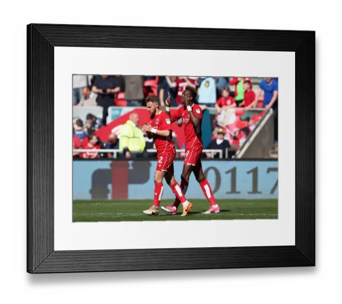Framed Print : Tammy Abraham's Thrilling Goal Celebration: Bristol City vs Barnsley, Sky Bet Championship (22 / 04 / 2017)