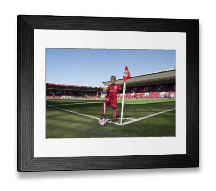 Framed Print : Bristol City vs Barnsley Clash in Sky Bet Championship (April 2017) - Ashton Gate Framed Print : Bristol City vs Barnsley Clash in Sky Bet Championship (April 2017) - Ashton Gate