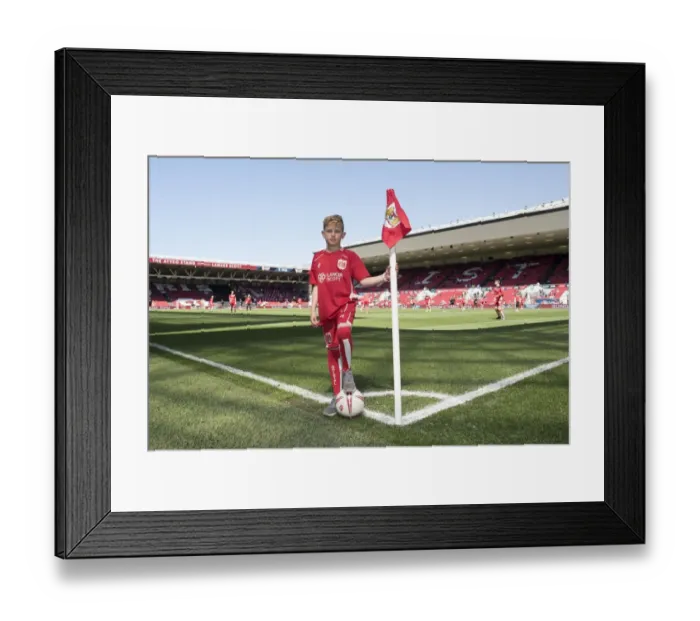 Framed Print : Bristol City vs Barnsley: Sky Bet Championship Clash at Ashton Gate (April 2017) Framed Print : Bristol City vs Barnsley: Sky Bet Championship Clash at Ashton Gate (April 2017)