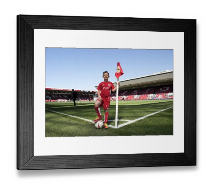 Framed Print : Sky Bet Championship Showdown: A Clash at Ashton Gate - Bristol City vs Barnsley (22nd April 2017) Framed Print : Sky Bet Championship Showdown: A Clash at Ashton Gate - Bristol City vs Barnsley (22nd April 2017)