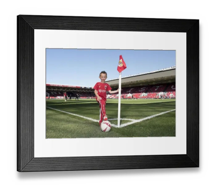 Framed Print : Clash in the Sky Bet Championship: Bristol City vs Barnsley at Ashton Gate (April 2017) Framed Print : Clash in the Sky Bet Championship: Bristol City vs Barnsley at Ashton Gate (April 2017)
