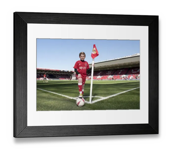 Framed Print : Bristol City vs Barnsley: Clash in Sky Bet Championship (April 2017) Framed Print : Bristol City vs Barnsley: Clash in Sky Bet Championship (April 2017)