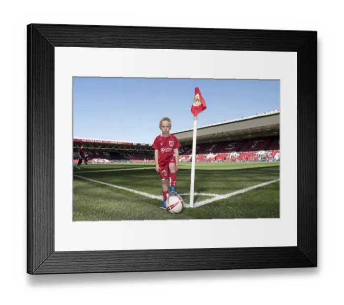 Framed Print : Clash at Ashton Gate: Bristol City vs Barnsley, Sky Bet Championship (April 2017) Framed Print : Clash at Ashton Gate: Bristol City vs Barnsley, Sky Bet Championship (April 2017)