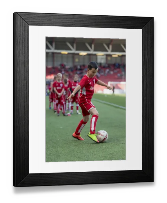 Framed Print : Bristol City vs Barnsley Clash in Sky Bet Championship (April 2017) - Ashton Gate