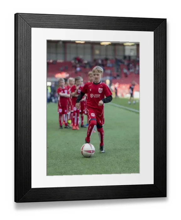 Framed Print : Bristol City vs Barnsley: A Championship Showdown at Ashton Gate (April 2017) Framed Print : Bristol City vs Barnsley: A Championship Showdown at Ashton Gate (April 2017)