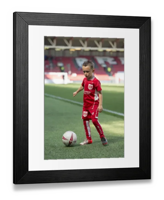 Framed Print : Bristol City vs Barnsley Clash in Sky Bet Championship (April 2017) - Ashton Gate