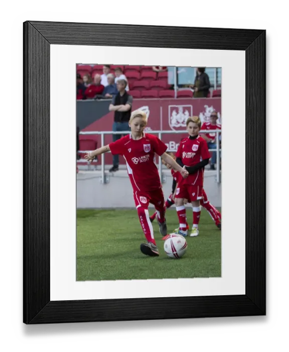 Framed Print : Bristol City vs Barnsley: Clash in the Sky Bet Championship (April 2017)