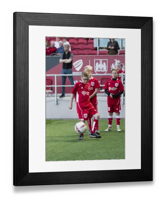 Framed Print : Sky Bet Championship Showdown: Bristol City vs Barnsley at Ashton Gate - April 2017