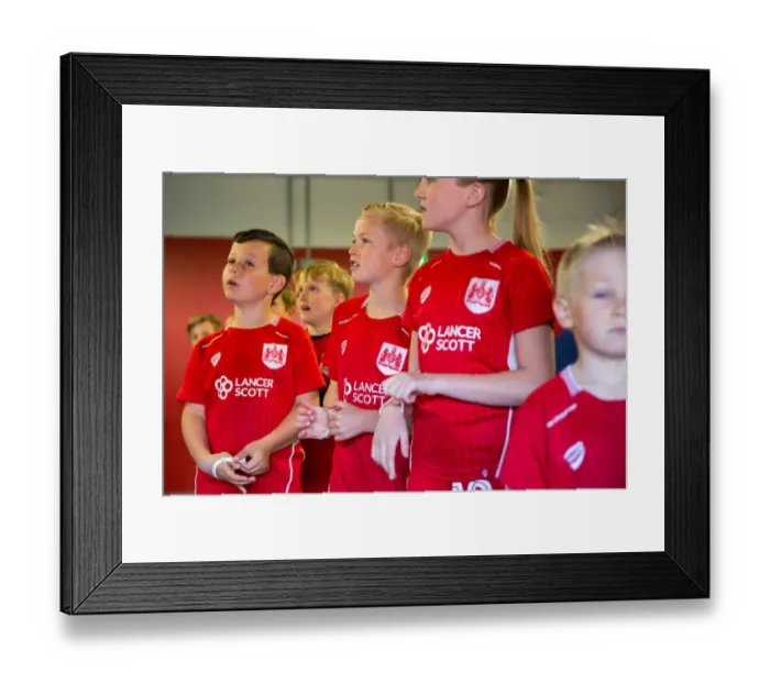 Framed Print : Bristol City vs Barnsley: Mascots Clash in Sky Bet Championship Match at Ashton Gate Stadium (2017) Framed Print : Bristol City vs Barnsley: Mascots Clash in Sky Bet Championship Match at Ashton Gate Stadium (2017)