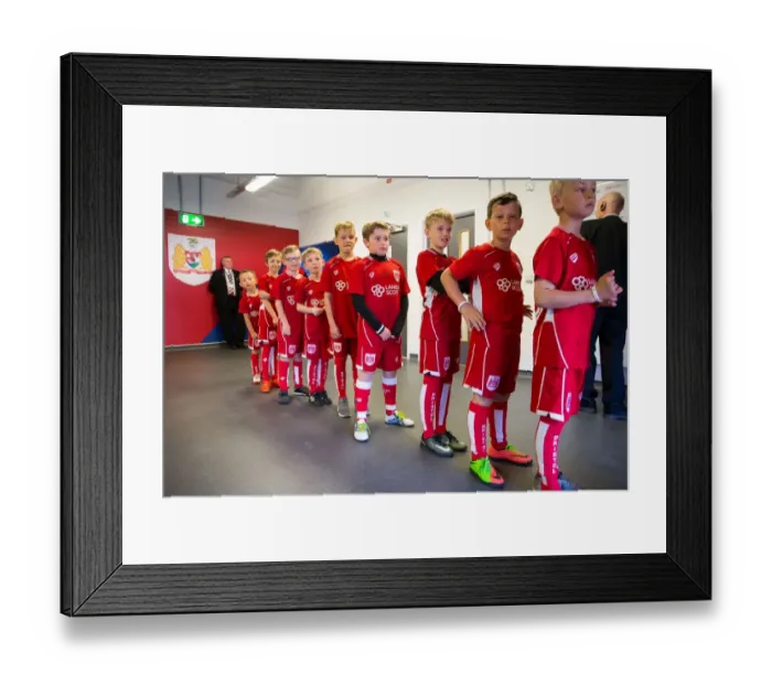 Framed Print : Bristol City vs Barnsley: Mascots at Ashton Gate Stadium, Sky Bet Championship (2017)