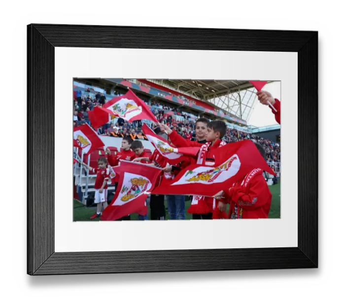 Framed Print : Sky Bet Championship Showdown: Bristol City vs. Barnsley - Guard of Honor Framed Print : Sky Bet Championship Showdown: Bristol City vs. Barnsley - Guard of Honor