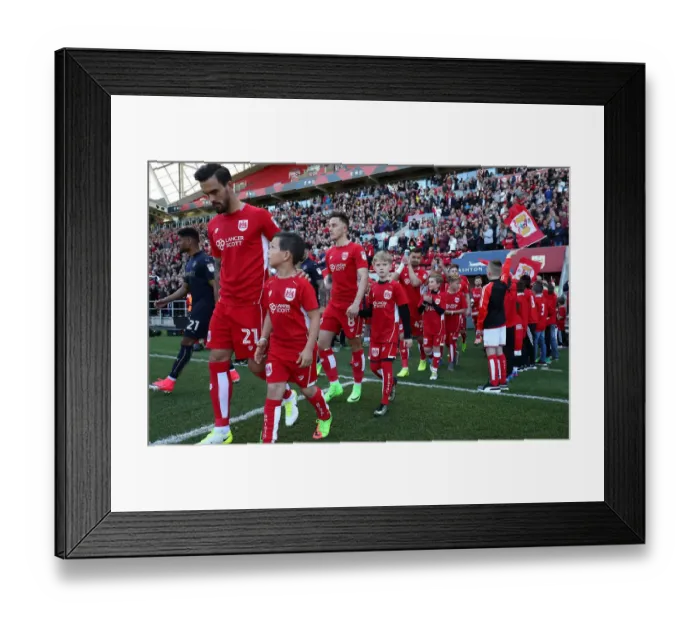 Framed Print : Bristol City and Barnsley Mascots Kick-Off Championship Match at Ashton Gate Framed Print : Bristol City and Barnsley Mascots Kick-Off Championship Match at Ashton Gate