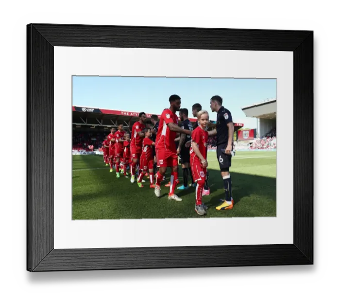 Framed Print : Bristol City and Barnsley Mascots Lead Out Teams at Ashton Gate, Sky Bet Championship (220417)
