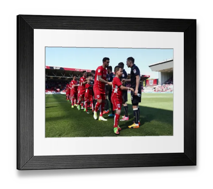 Framed Print : Mascots Leading the Way: Sky Bet Championship Showdown between Bristol City and Barnsley at Ashton Gate Framed Print : Mascots Leading the Way: Sky Bet Championship Showdown between Bristol City and Barnsley at Ashton Gate