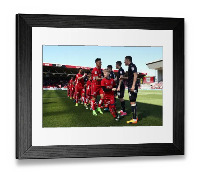 Framed Print : Mascots Lead the Way: Bristol City vs Barnsley, Sky Bet Championship Framed Print : Mascots Lead the Way: Bristol City vs Barnsley, Sky Bet Championship
