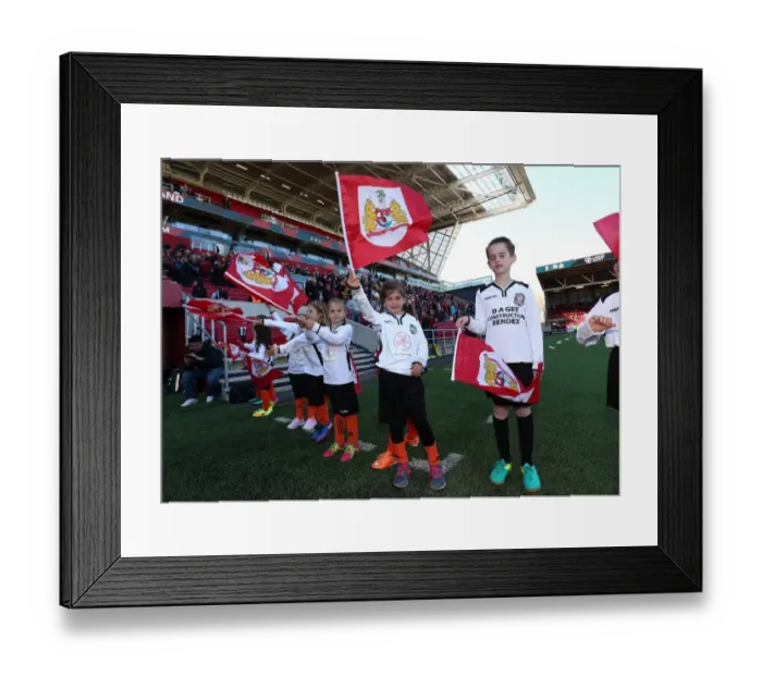 Framed Print : Bristol City vs Barnsley: Flag-Bearing Supporters at Ashton Gate, 2017 Framed Print : Bristol City vs Barnsley: Flag-Bearing Supporters at Ashton Gate, 2017