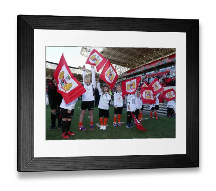 Framed Print : Bristol City vs Barnsley: Flag Bearers Clash at Ashton Gate, Sky Bet Championship (April 2017)