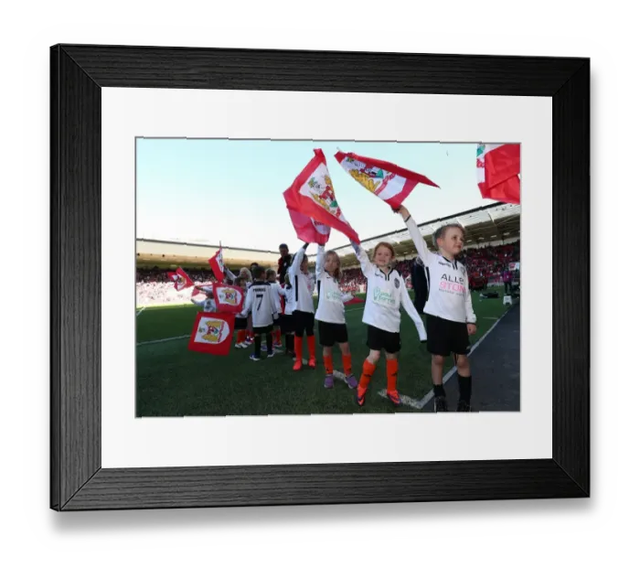 Framed Print : Flag Bearers Clash: Bristol City vs Barnsley, Sky Bet Championship (April 2017) Framed Print : Flag Bearers Clash: Bristol City vs Barnsley, Sky Bet Championship (April 2017)