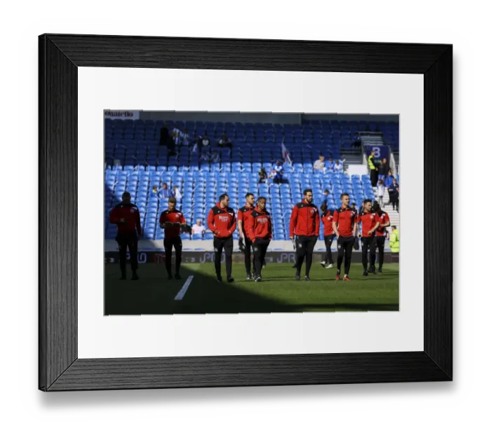 Framed Print : Brighton and Hove Albion v Bristol City 290417 Framed Print : Brighton and Hove Albion v Bristol City 290417