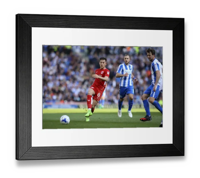 Framed Print : Josh Brownhill Passes Forward in Action- Packed Brighton vs. Bristol City Championship Clash Framed Print : Josh Brownhill Passes Forward in Action- Packed Brighton vs. Bristol City Championship Clash