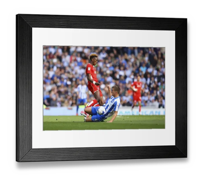 Framed Print : Brighton's Hunemeier Stops Abraham: Brighton & Hove Albion vs. Bristol City, Sky Bet Championship (2017) Framed Print : Brighton's Hunemeier Stops Abraham: Brighton & Hove Albion vs. Bristol City, Sky Bet Championship (2017)