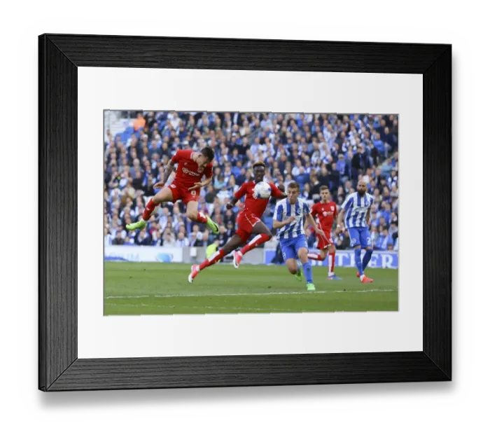 Framed Print : Josh Brownhill Scores the Championship Stunner: Bristol City Shocks Brighton 0-1 (2017) Framed Print : Josh Brownhill Scores the Championship Stunner: Bristol City Shocks Brighton 0-1 (2017)