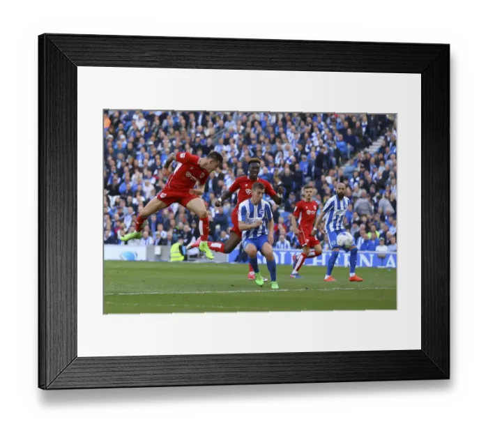 Framed Print : Josh Brownhill Scores the Championship-Winning Goal: Brighton & Hove Albion 0-1 Bristol City (April 29, 2017) Framed Print : Josh Brownhill Scores the Championship-Winning Goal: Brighton & Hove Albion 0-1 Bristol City (April 29, 2017)