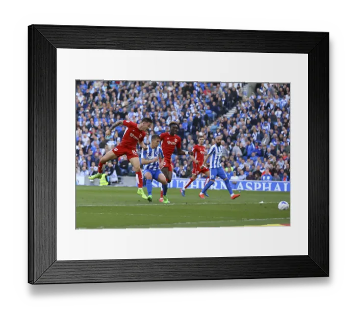 Framed Print : Josh Brownhill Scores the Winner: Brighton & Hove Albion 0-1 Bristol City (Sky Bet Championship, 29 / 04 / 2017, Amex Stadium, Brighton) Framed Print : Josh Brownhill Scores the Winner: Brighton & Hove Albion 0-1 Bristol City (Sky Bet Championship, 29 / 04 / 2017, Amex Stadium, Brighton)