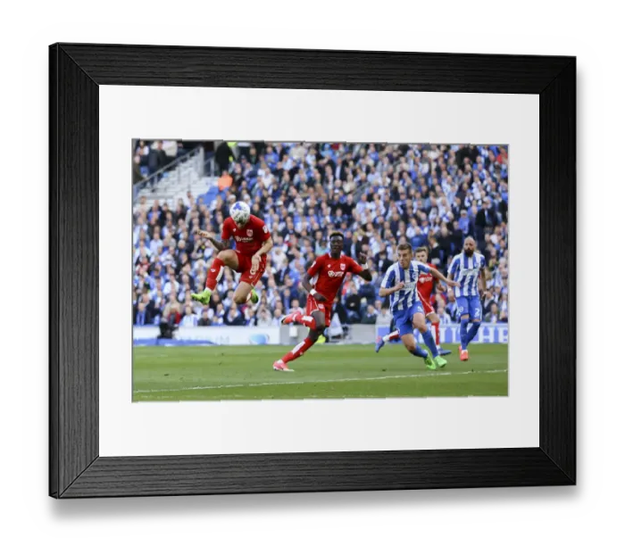 Framed Print : Josh Brownhill's Championship-Winning Goal: Brighton & Hove Albion 0-1 Bristol City (April 29, 2017) Framed Print : Josh Brownhill's Championship-Winning Goal: Brighton & Hove Albion 0-1 Bristol City (April 29, 2017)
