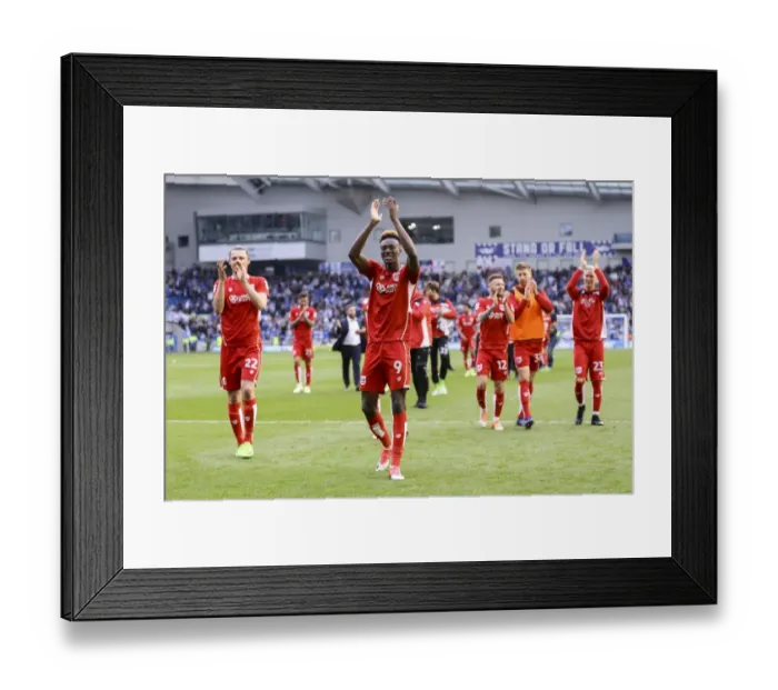 Framed Print : Bristol City Celebrate 1-0 Win Over Brighton & Hove Albion, Securing Championship Survival