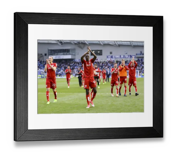 Framed Print : Bristol City Celebrate 1-0 Victory Over Brighton & Hove Albion: #WeAreStayingUp