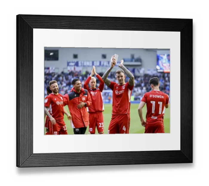 Framed Print : Bristol City's Euphoric Championship Survival: 1-0 Win Over Brighton & Hove Albion Framed Print : Bristol City's Euphoric Championship Survival: 1-0 Win Over Brighton & Hove Albion