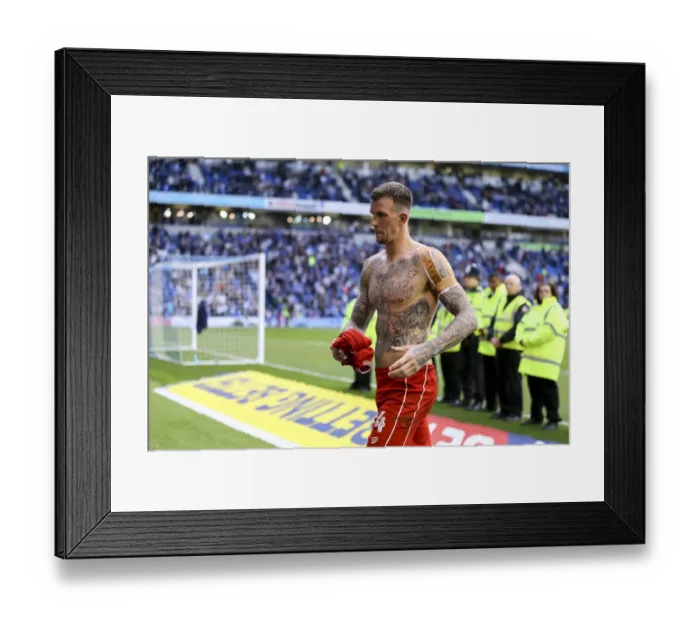 Framed Print : Aden Flint's Generous Gesture: Handing Over His Shirt to a Thrilled Fan at Brighton & Hove Albion vs. Bristol City (April 29, 2017) Framed Print : Aden Flint's Generous Gesture: Handing Over His Shirt to a Thrilled Fan at Brighton & Hove Albion vs. Bristol City (April 29, 2017)