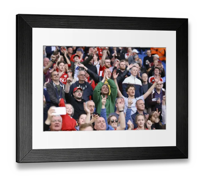 Framed Print : Bristol City Survives Relegation: Triumphant Celebrations Against Brighton & Hove Albion (April 29, 2017) Framed Print : Bristol City Survives Relegation: Triumphant Celebrations Against Brighton & Hove Albion (April 29, 2017)