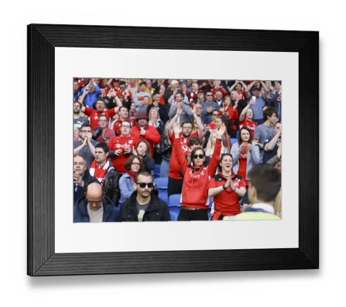 Framed Print : Bristol City Survives: Thrilling Victory Against Brighton & Hove Albion Framed Print : Bristol City Survives: Thrilling Victory Against Brighton & Hove Albion