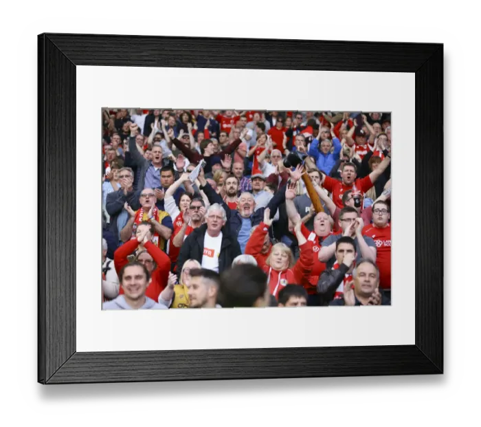 Framed Print : Bristol City Celebrates Survival: A Thrilling Win Against Brighton & Hove Albion