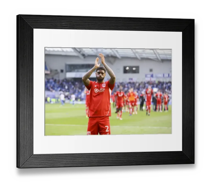 Framed Print : Bristol City Secures Championship Survival: Mark Little's Emotional Celebration After 1-0 Win Over Brighton
