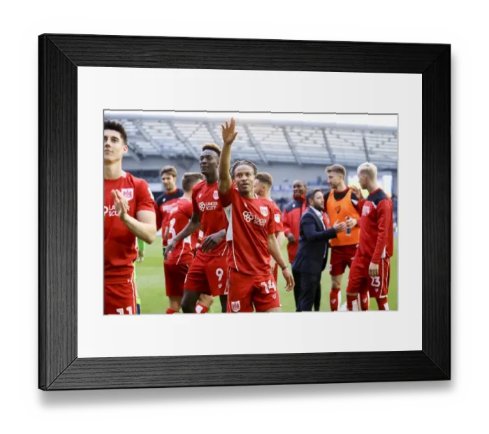 Framed Print : Bobby Reid's Goal Secures Bristol City's Championship Survival: 1-0 Win Over Brighton & Hove Albion Framed Print : Bobby Reid's Goal Secures Bristol City's Championship Survival: 1-0 Win Over Brighton & Hove Albion