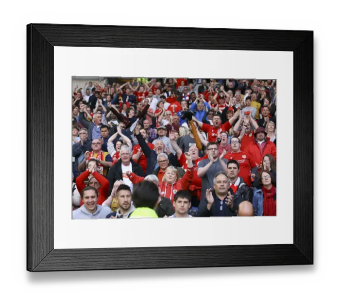 Framed Print : Bristol City Defies Odds: Thrilling Championship Victory Over Brighton & Hove Albion Framed Print : Bristol City Defies Odds: Thrilling Championship Victory Over Brighton & Hove Albion