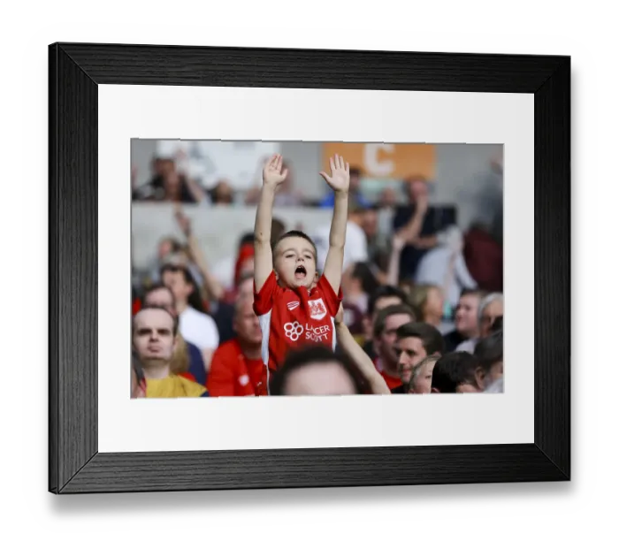 Framed Print : Bristol City's Euphoric Celebration: Brighton & Hove Albion vs. Bristol City (2017) Framed Print : Bristol City's Euphoric Celebration: Brighton & Hove Albion vs. Bristol City (2017)