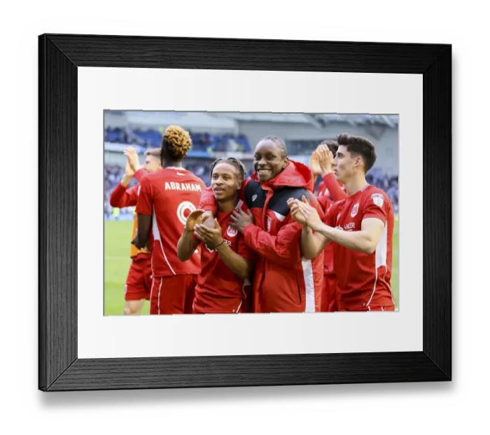 Framed Print : Bristol City's Historic 1-0 Victory Over Brighton & Hove Albion Secures Championship Survival Framed Print : Bristol City's Historic 1-0 Victory Over Brighton & Hove Albion Secures Championship Survival