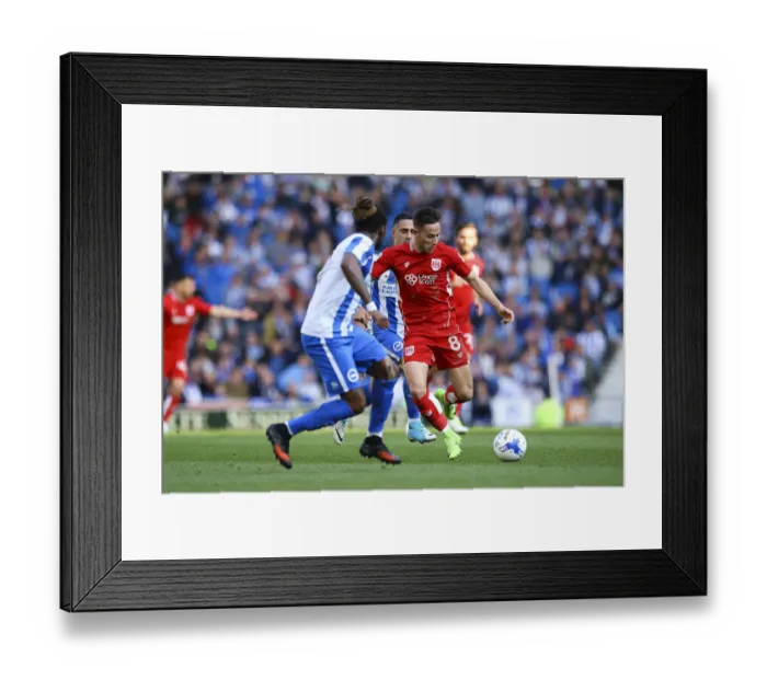 Framed Print : Josh Brownhill in Action: Brighton & Hove Albion vs. Bristol City, Sky Bet Championship (2017) Framed Print : Josh Brownhill in Action: Brighton & Hove Albion vs. Bristol City, Sky Bet Championship (2017)