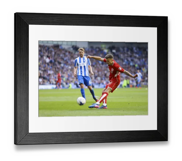 Framed Print : Jamie Paterson's Shot at Amex Stadium: Brighton vs. Bristol City Championship Clash Framed Print : Jamie Paterson's Shot at Amex Stadium: Brighton vs. Bristol City Championship Clash