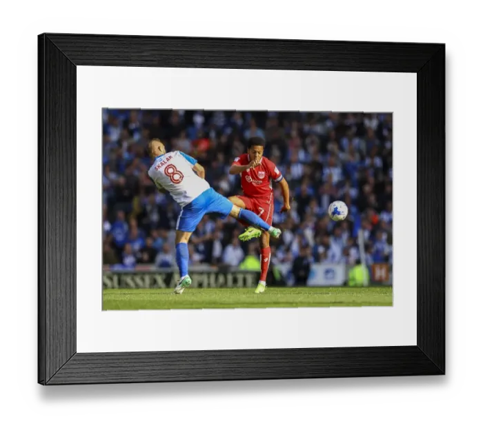 Framed Print : Korey Smith Faces Pressure from Jiri Skalak in Brighton and Hove Albion vs. Bristol City Championship Clash Framed Print : Korey Smith Faces Pressure from Jiri Skalak in Brighton and Hove Albion vs. Bristol City Championship Clash