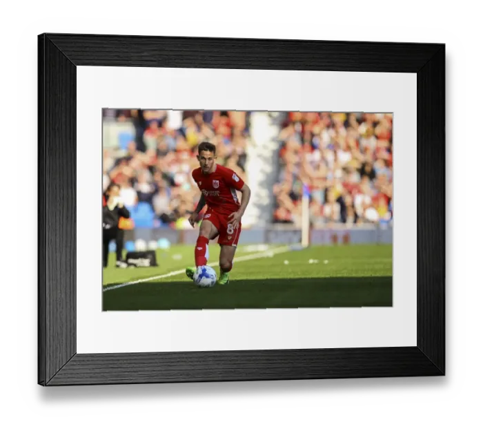 Framed Print : Josh Brownhill in Action: Sky Bet Championship Showdown between Brighton and Hove Albion and Bristol City (29 April 2017) Framed Print : Josh Brownhill in Action: Sky Bet Championship Showdown between Brighton and Hove Albion and Bristol City (29 April 2017)