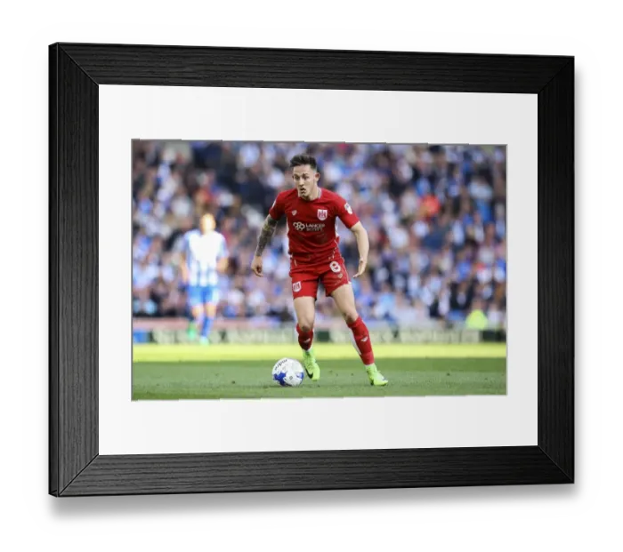 Framed Print : Josh Brownhill Leads Bristol City Attack Against Brighton & Hove Albion, Sky Bet Championship (April 2017) Framed Print : Josh Brownhill Leads Bristol City Attack Against Brighton & Hove Albion, Sky Bet Championship (April 2017)