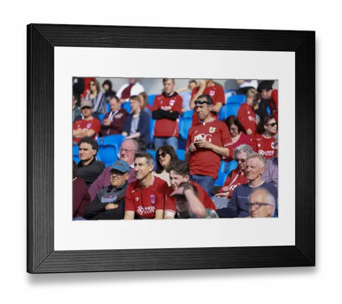 Framed Print : Sea of Supporters: Brighton and Hove Albion vs. Bristol City at Amex Stadium, Championship 2017 Framed Print : Sea of Supporters: Brighton and Hove Albion vs. Bristol City at Amex Stadium, Championship 2017