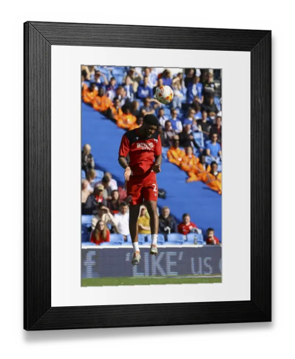 Framed Print : Sky Bet Championship Showdown: Brighton and Hove Albion vs. Bristol City - Gear Up at Amex Stadium Framed Print : Sky Bet Championship Showdown: Brighton and Hove Albion vs. Bristol City - Gear Up at Amex Stadium