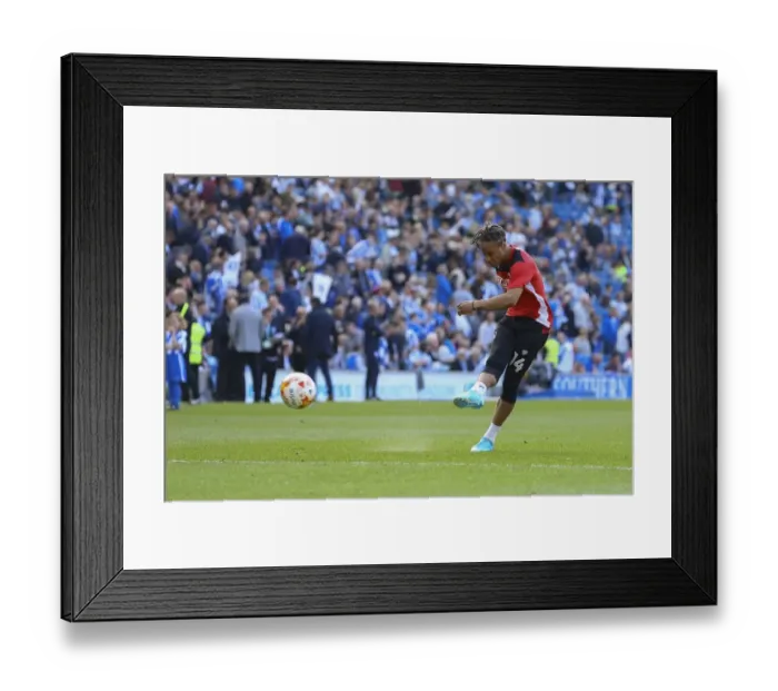Framed Print : Bobby Reid of Bristol City Prepares for Sky Bet Championship Clash at Amex Stadium (29 April 2017)